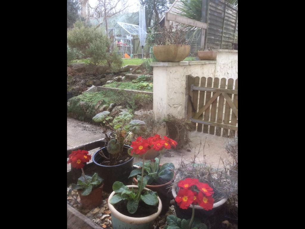 Bed and Breakfast School Farm Blagdon Экстерьер фото