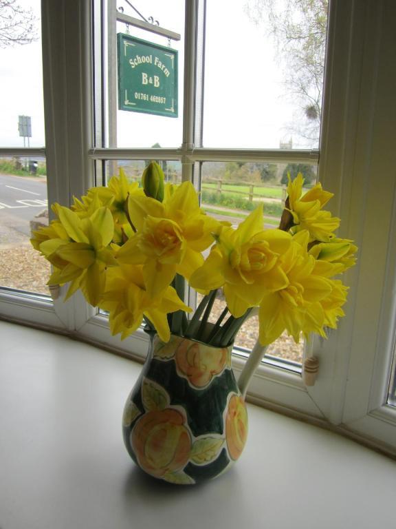 Bed and Breakfast School Farm Blagdon Экстерьер фото